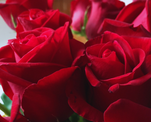 Rote Rosen